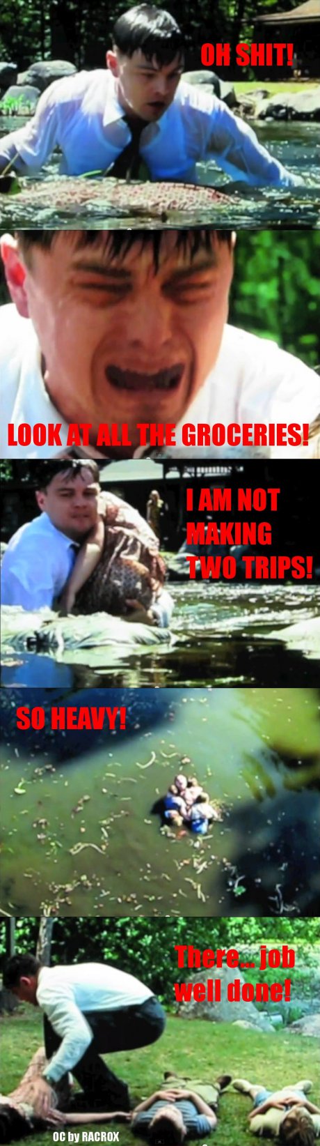 Carrying Groceries