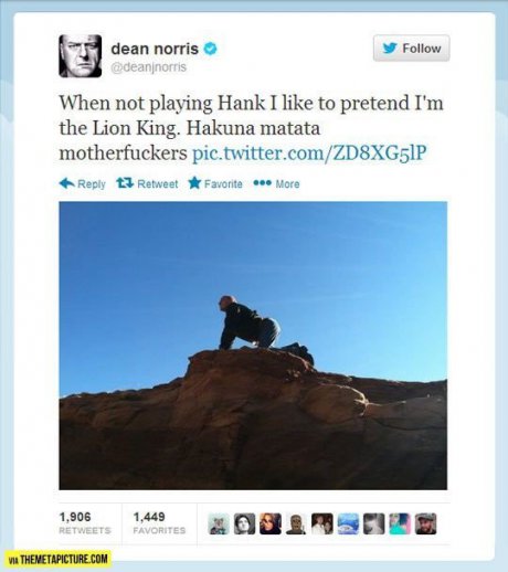 LiON KINGe