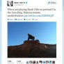 LiON KINGe