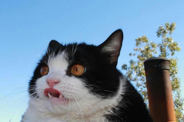 mfw Season 5 pt. 2