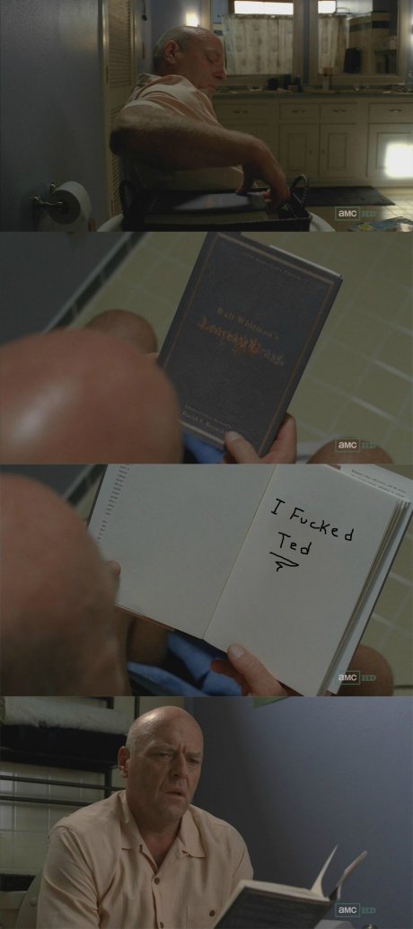 Breaking Bad Exploitable.