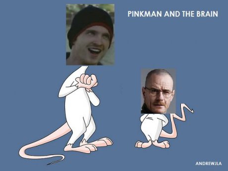 One's a genius, the other's insane