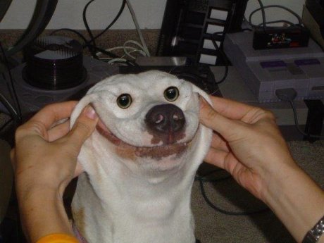 About this happy