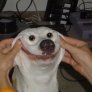 About this happy