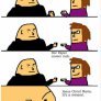 Minerals, not rocks.