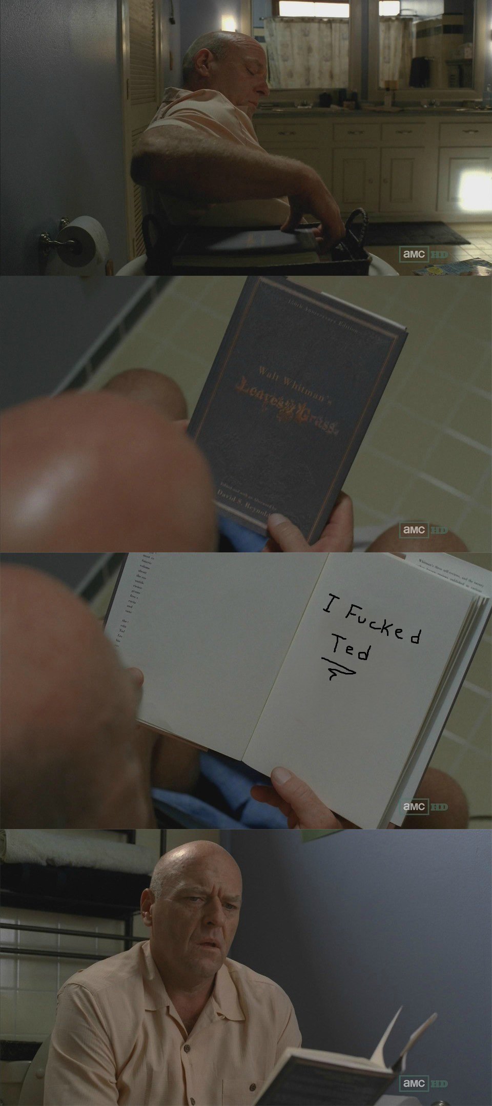 Breaking Bad Exploitable.