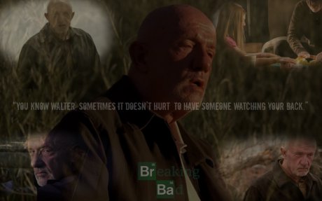 Mike Ehrmantraut