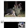 BEARS