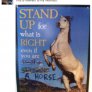 Neigh.