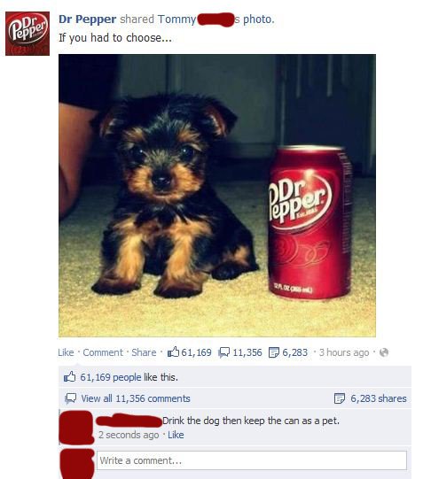 Dr. Doggy Pepper