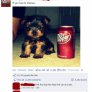 Dr. Doggy Pepper