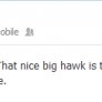 Hawk