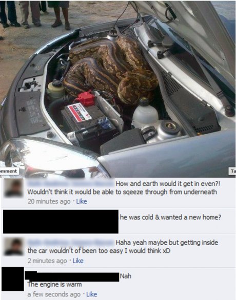 Nah, The engine is warm