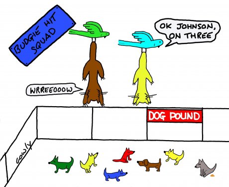 Dog Pound