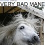 VERY BAD