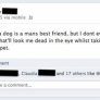 Mans best friend