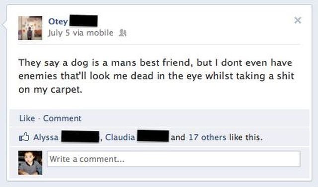 Mans best friend