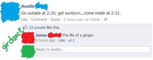 The Life of a Ginger