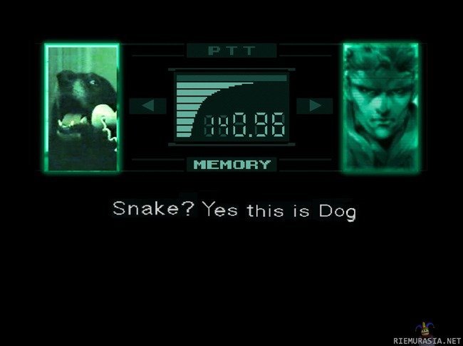 Metal Gear Doge