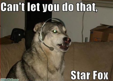 Wolf!