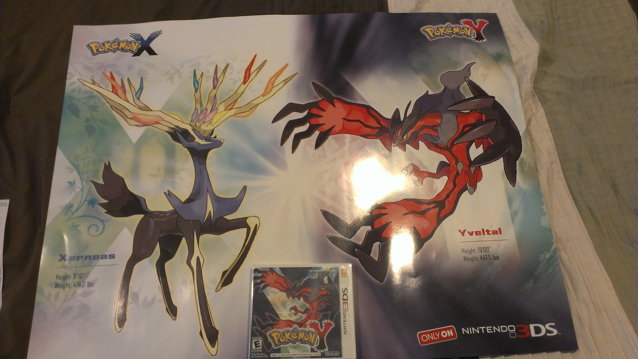 Pokemon Y and Poster