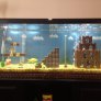 Best Fish Tank