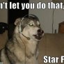 Wolf!